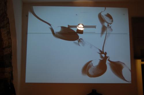 fork_trieste-44